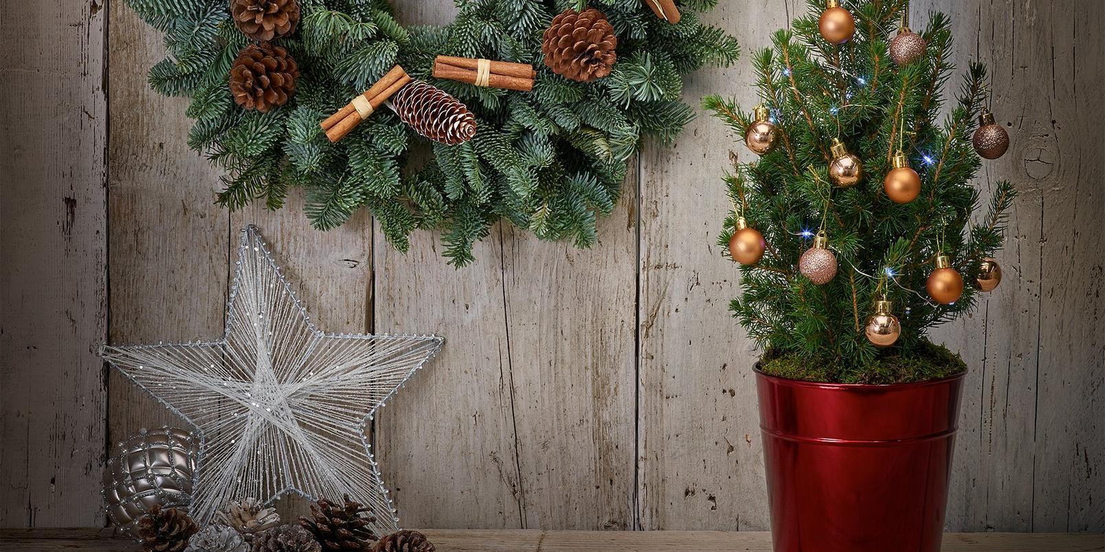 10-alternative-christmas-trees-small-spaces-5