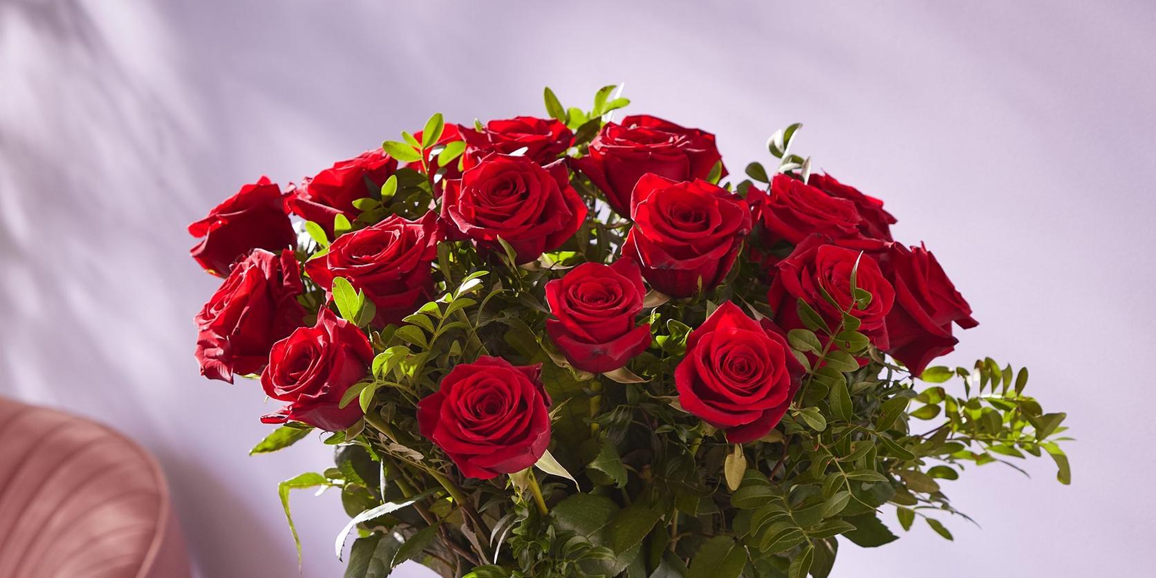 The All You Need To Know Guide About Red Roses