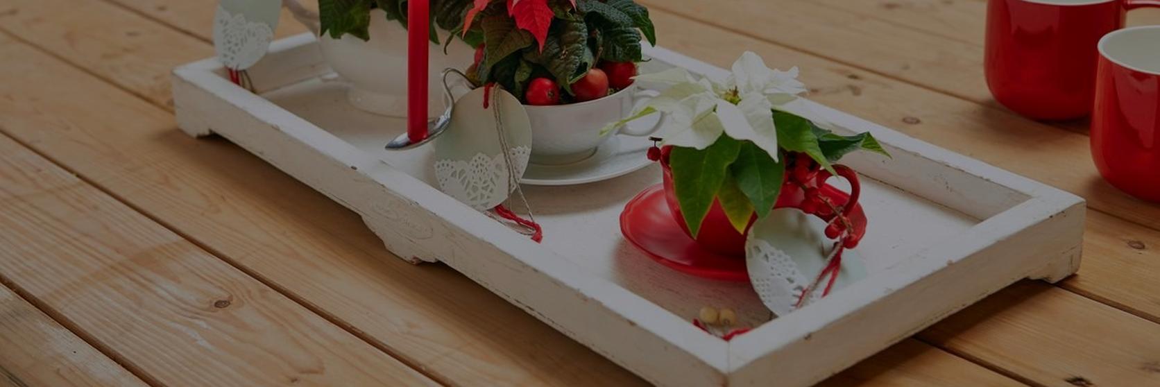 2017_Weihnachtsstern_DIY_Upcycling_Geschirr_08-1