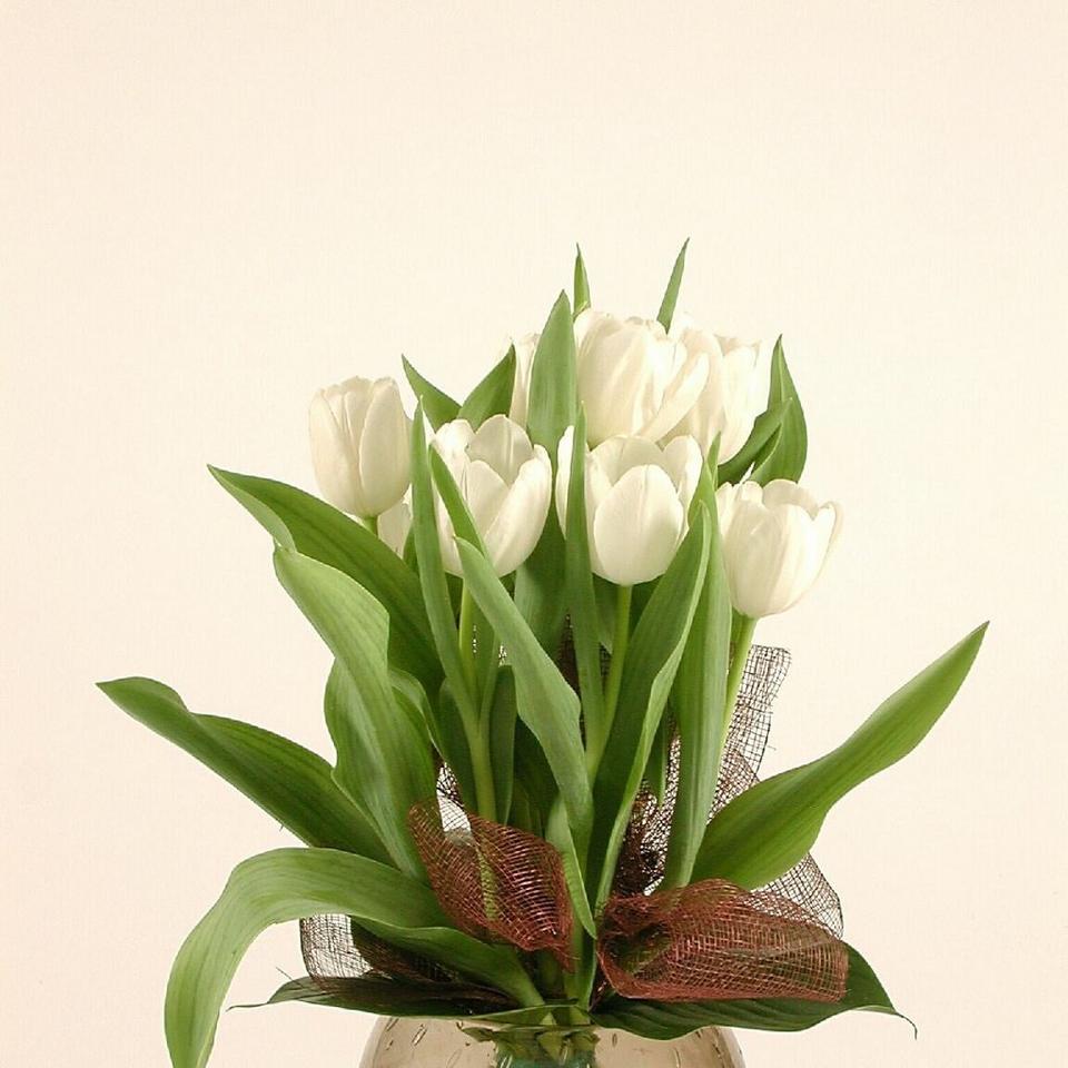 Image 1 of 1 of white tulips bouq