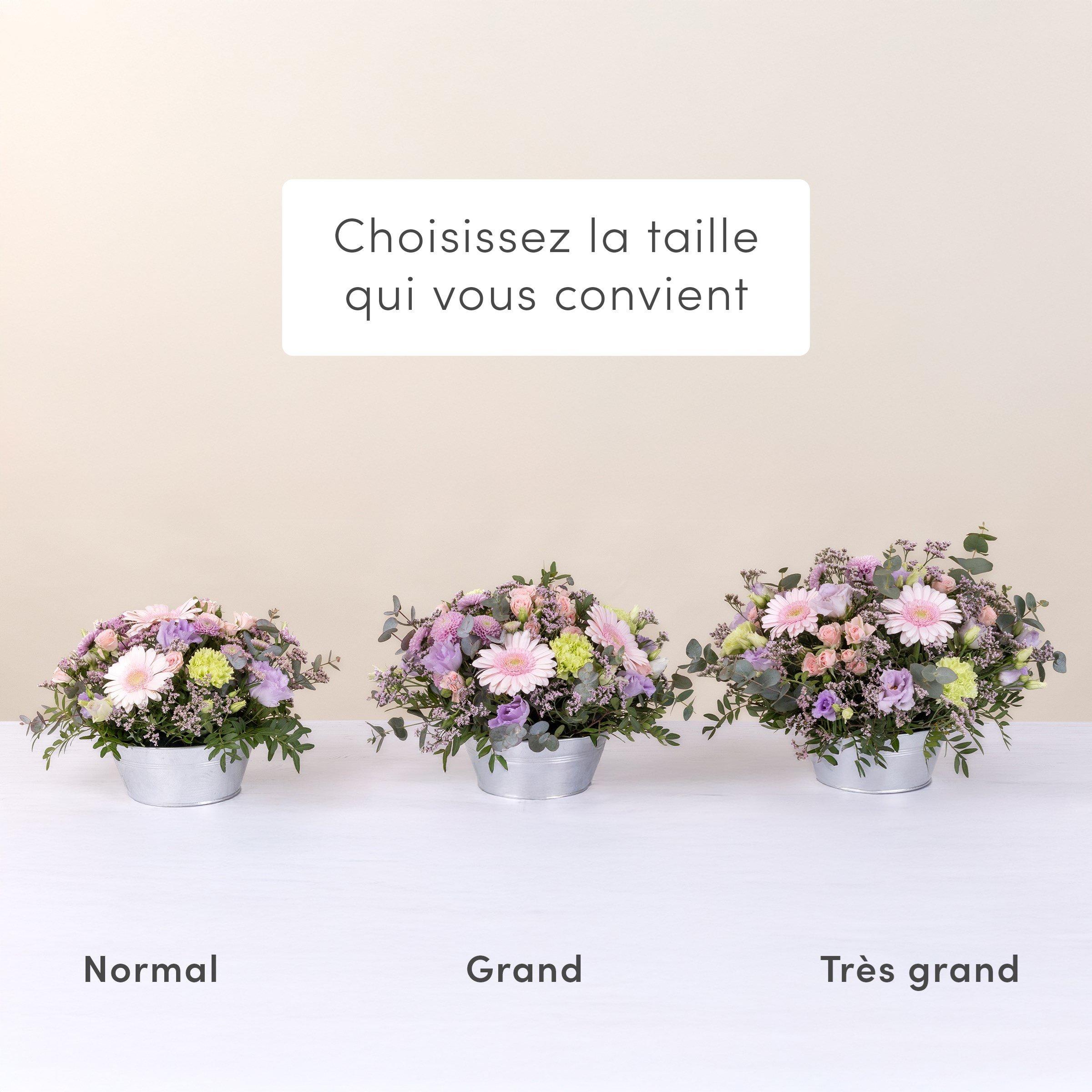 3ZETEA-FR-609550-2025-04-11-T930