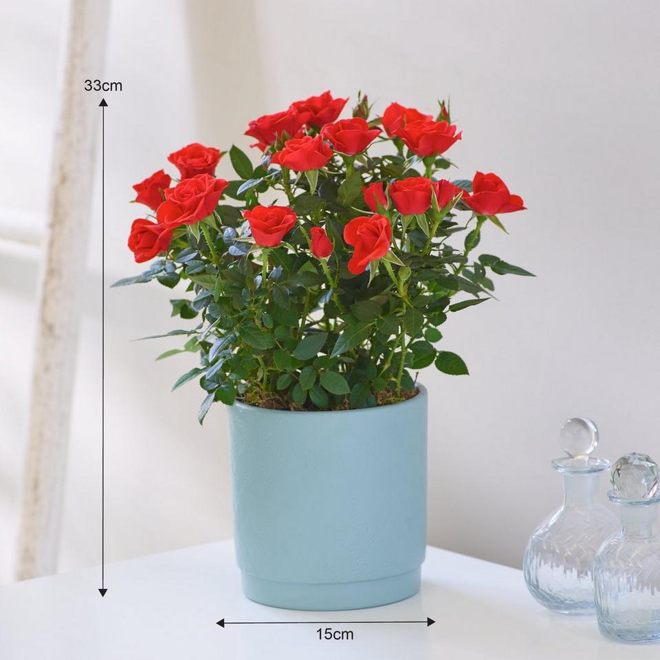 Find the perfect fit