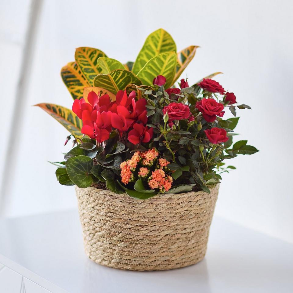 Autumn Basket