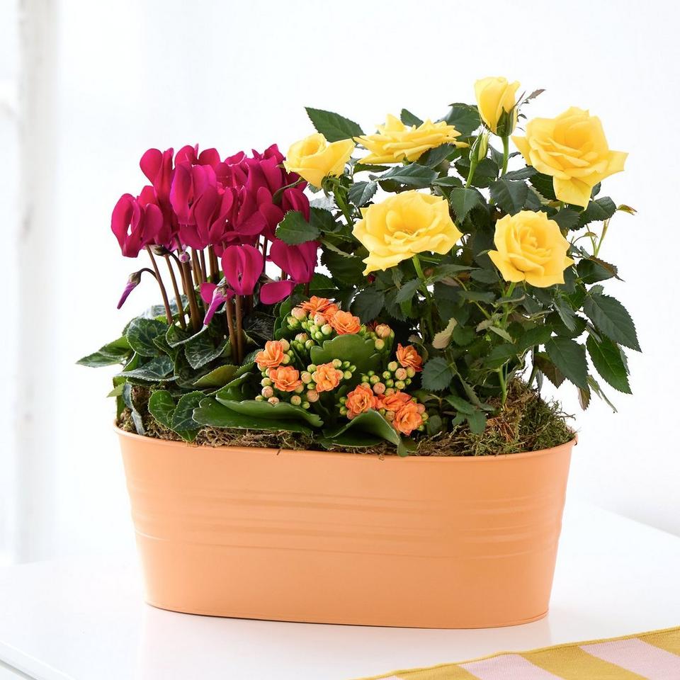 Warming Autumn Planter
