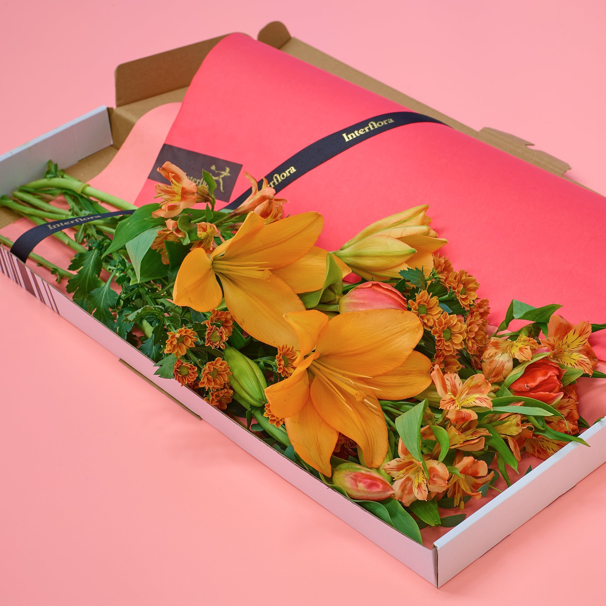 November Bloom Letterbox Flowers