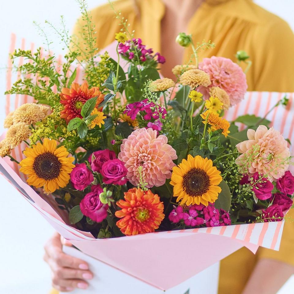 Delightful Dahlias Mix