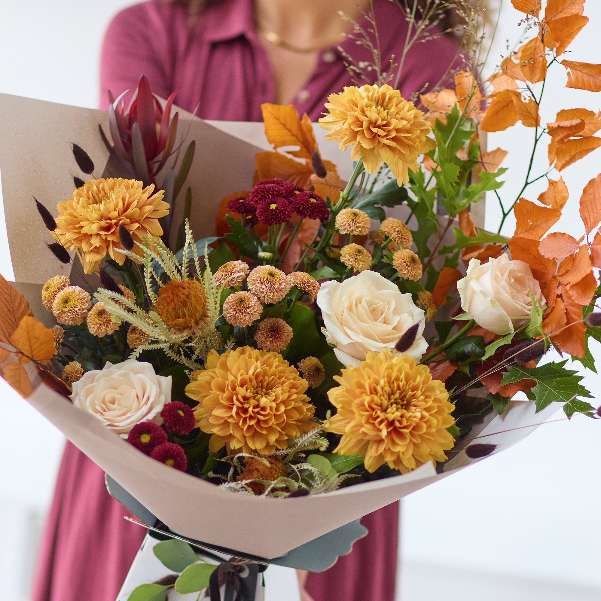 Chrysanthemum Glow