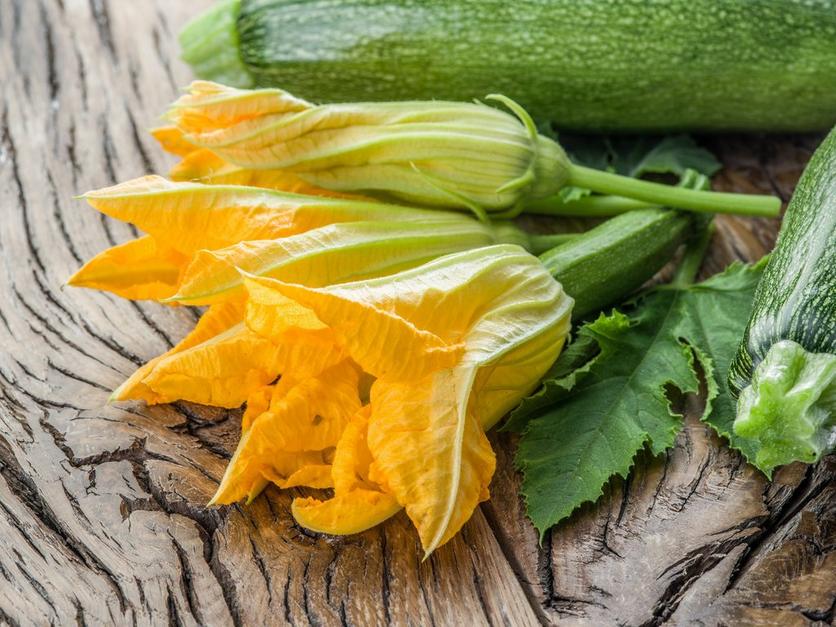 Bright_yellow_courgette_flowers