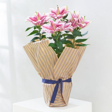 Oriental Lily