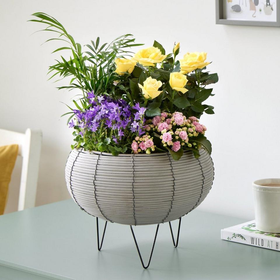 Beautiful Indoor Basket