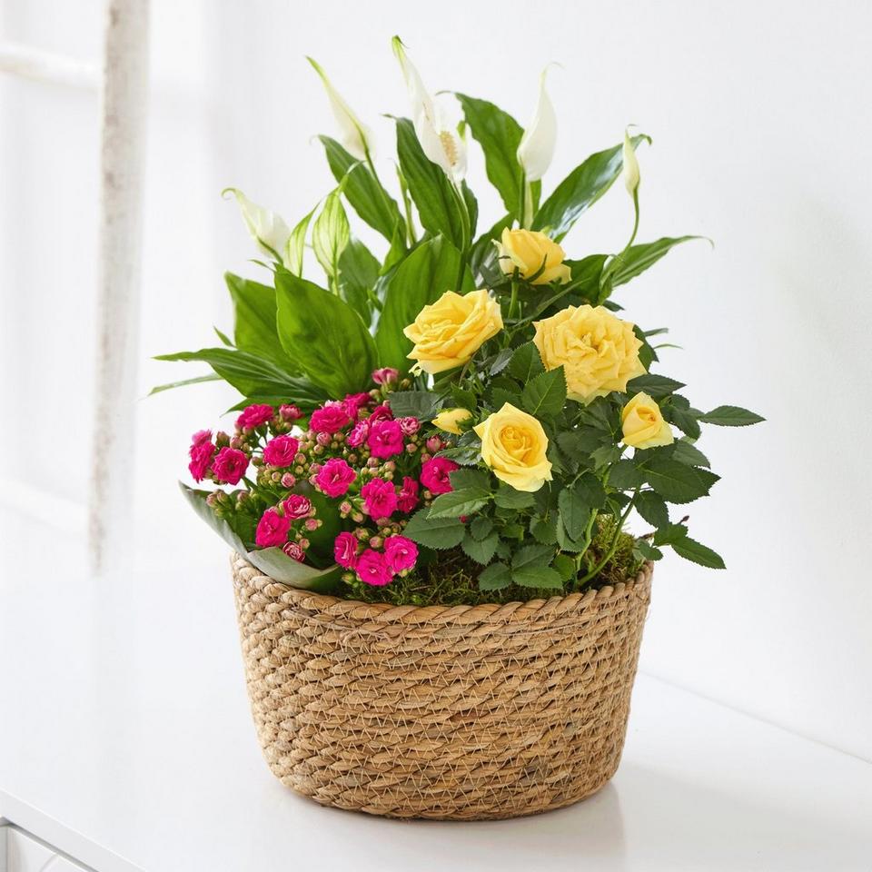 Beautiful Indoor Basket
