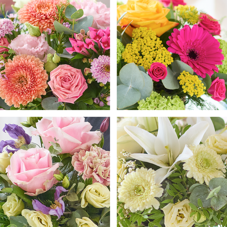 Special Surprise Design Arrangement