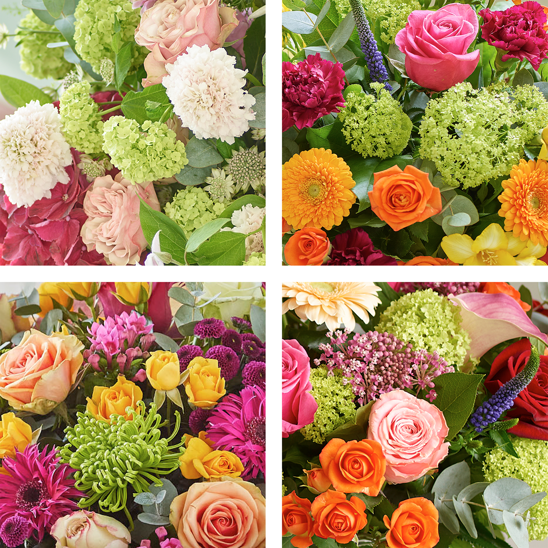 Image 2 of 4 of Magnificent Bright Bouquet