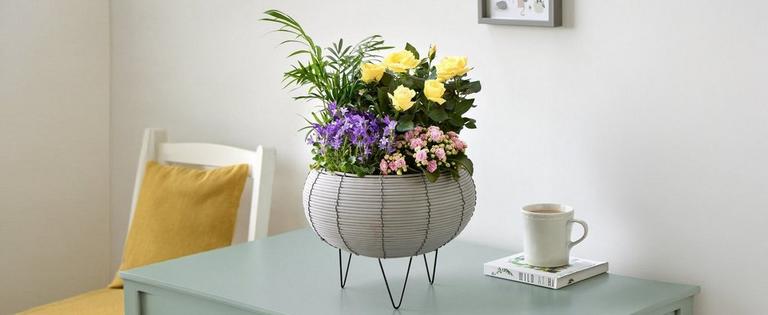 Category-Mobile-cropped_0000_C15991MS-1