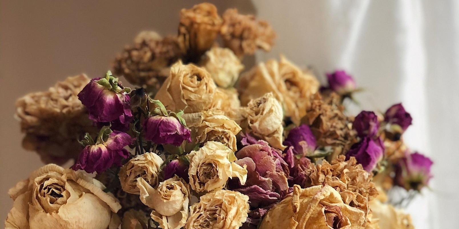 Dried-flowers