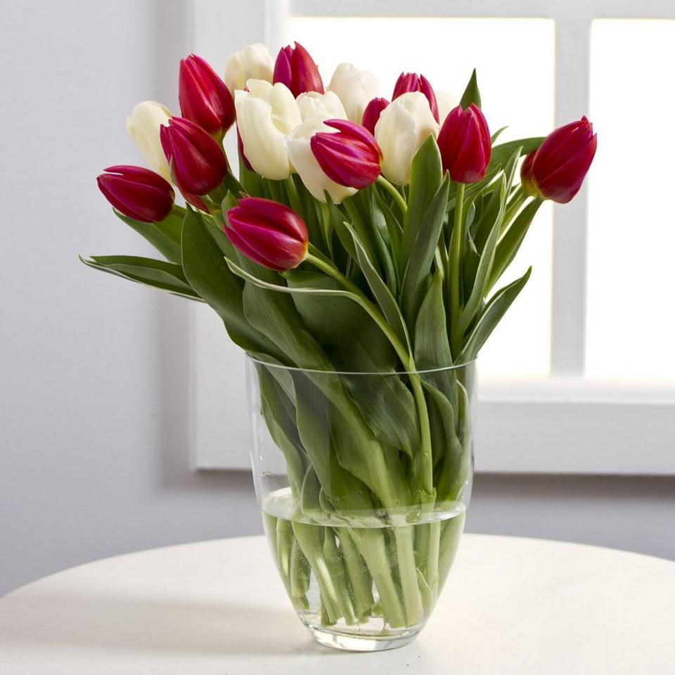 Image 1 of 1 of Bouquet of White and Red Tulips