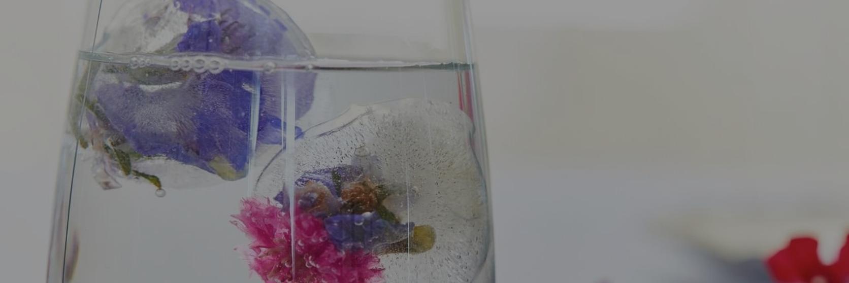 Floral-Ice-cubes-1