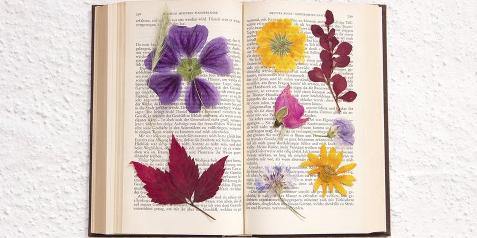 Flower-Book
