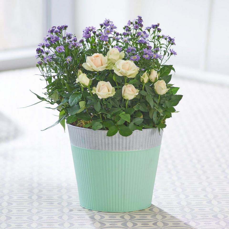 Soothing Outdoor Planter