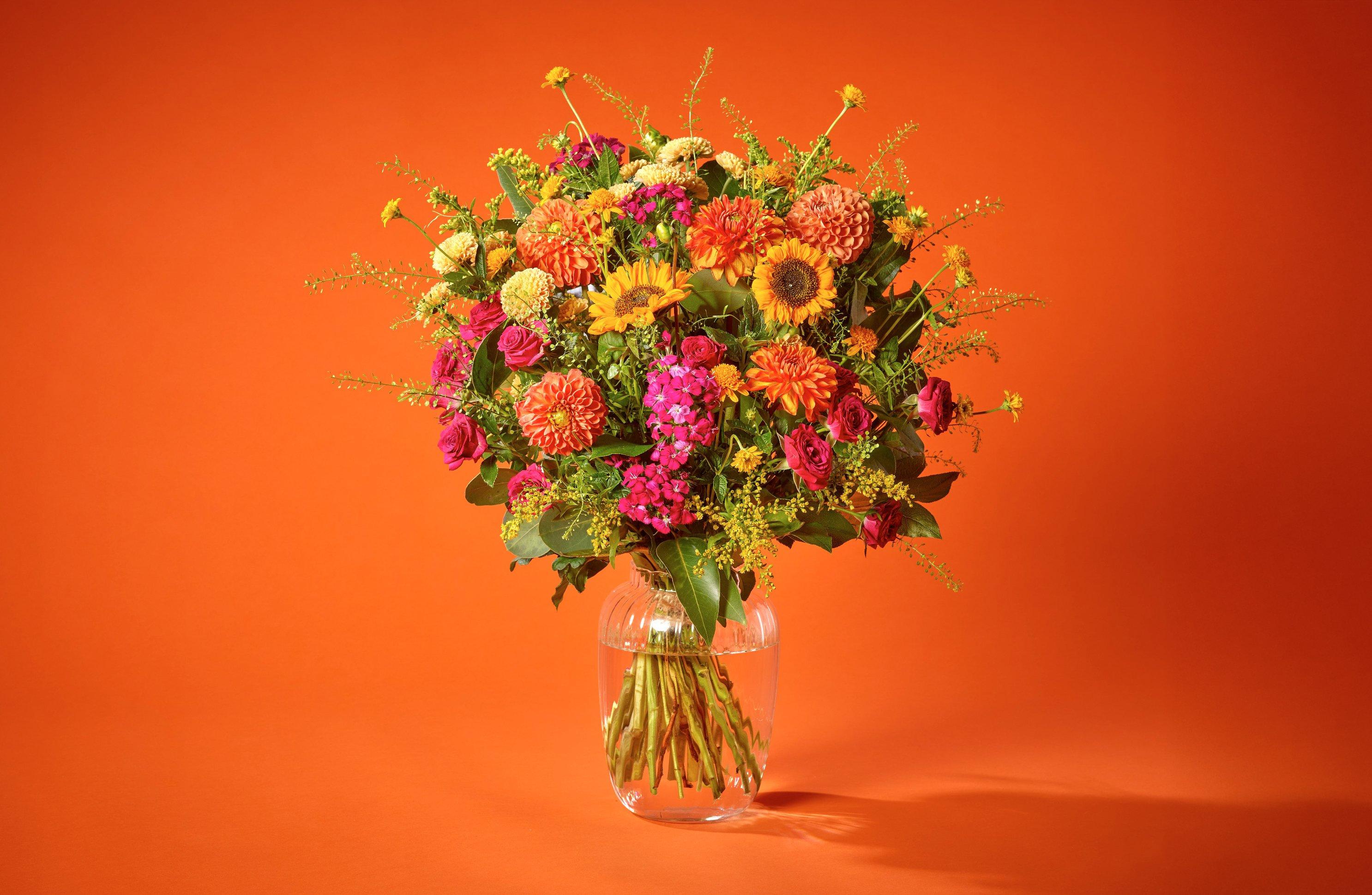 Inflo150725-ADHT0200(BRAND)-CROP2