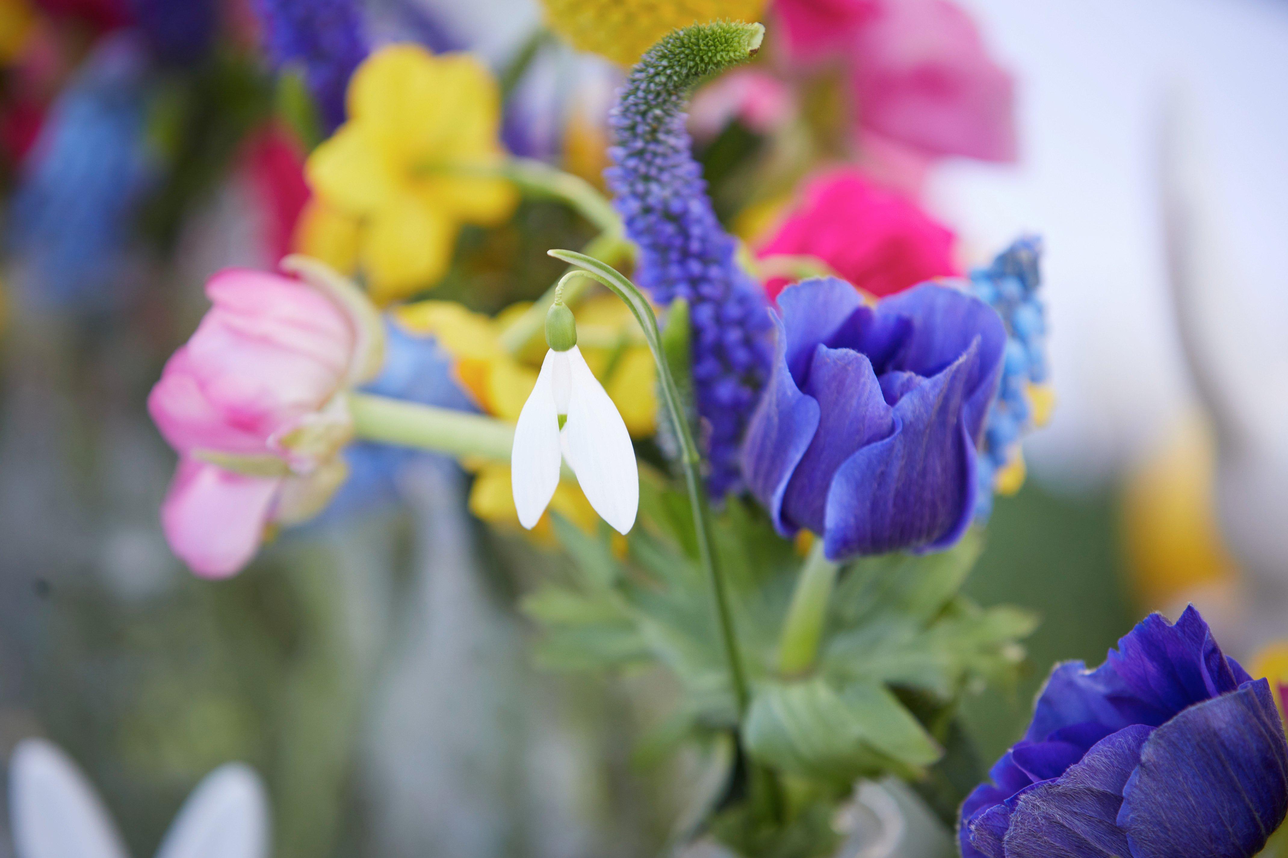 InterFlora220221-0732