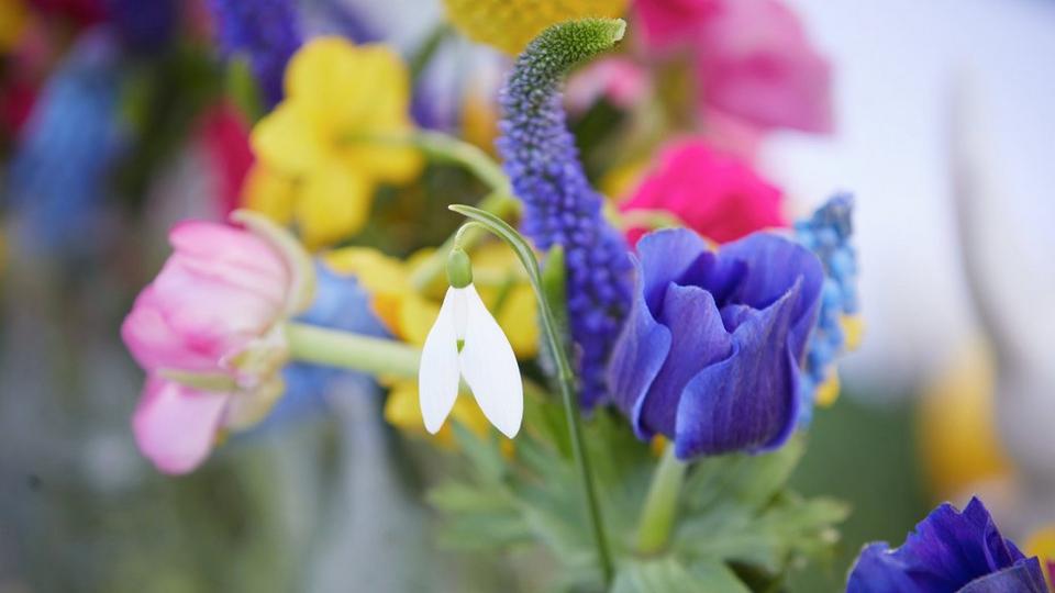 InterFlora220221-0732