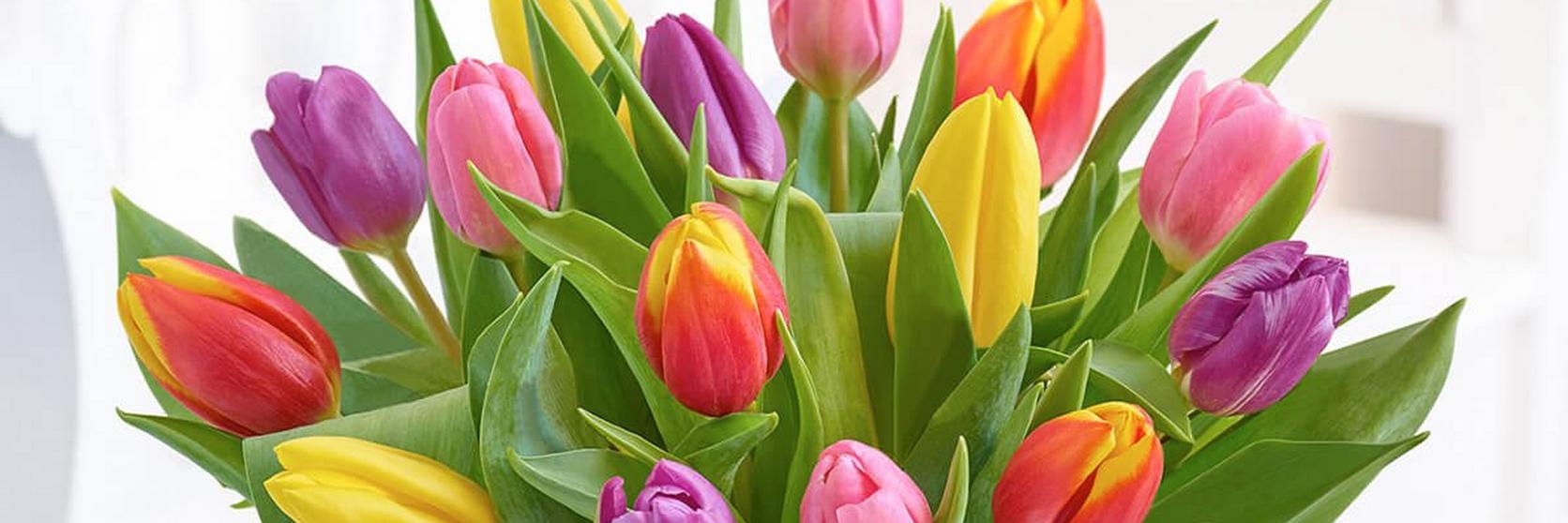 Interflora-tulips-mixed-vase