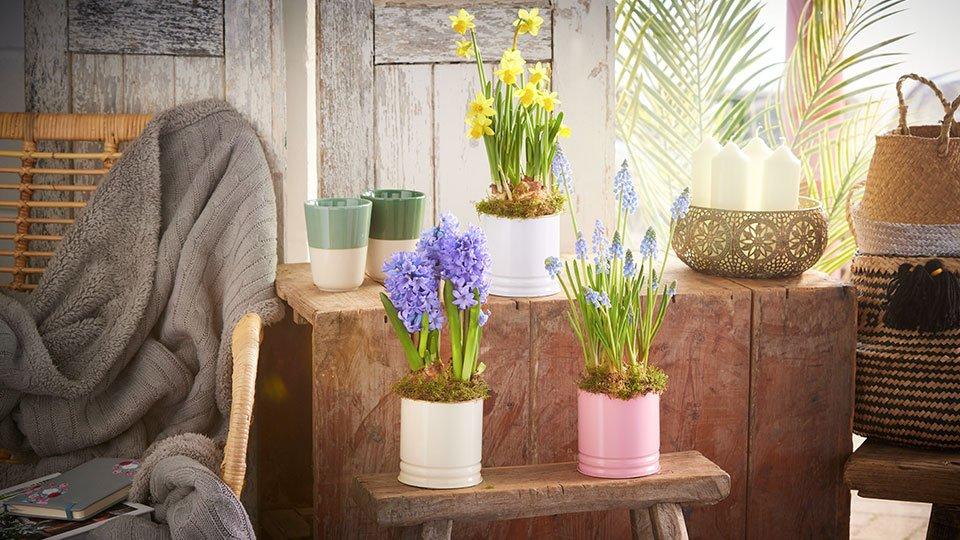 Flower Delivery Send Flowers Online With Interflora