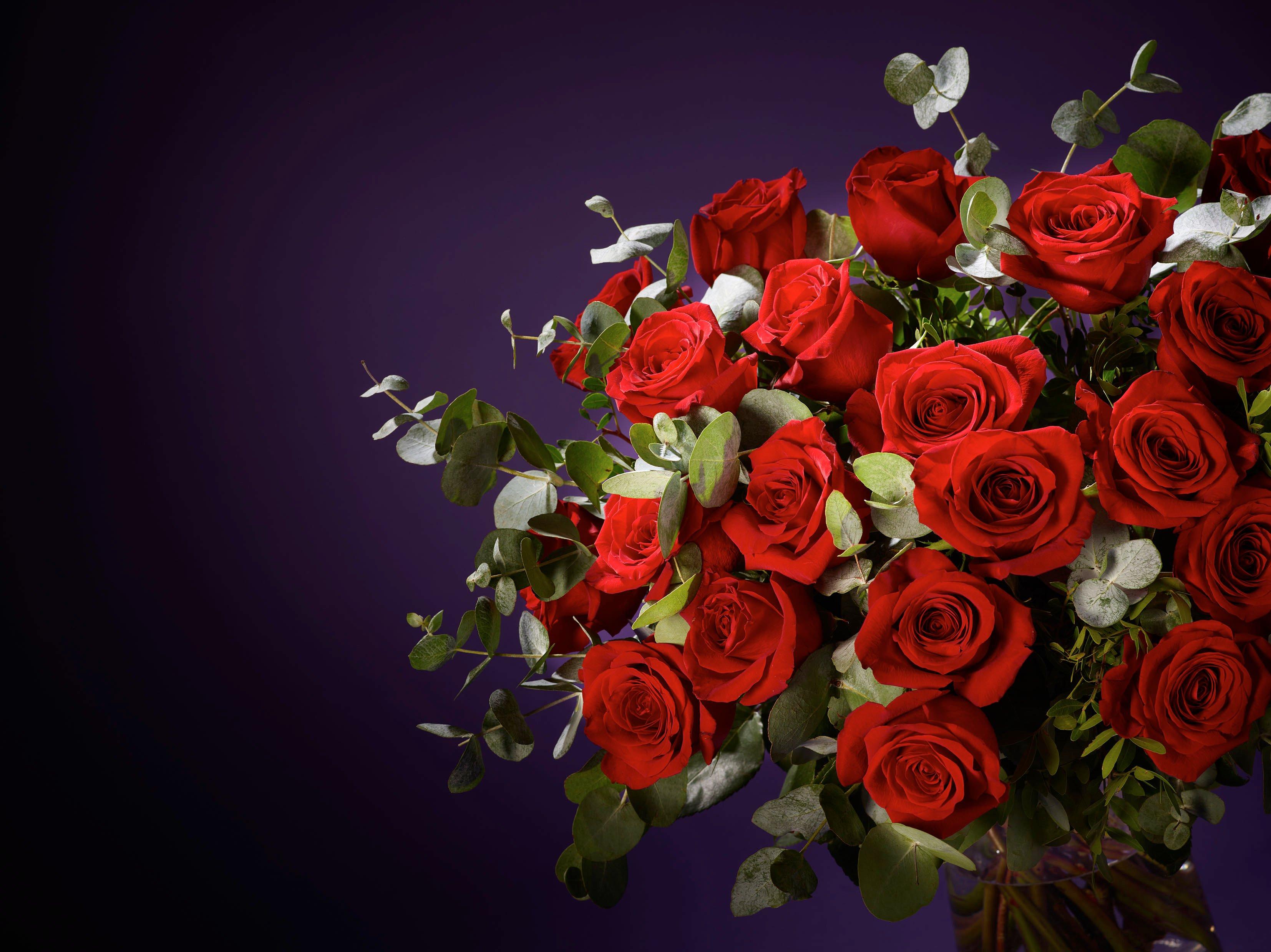 Interflora011024-VCROR2400(BRAND2)