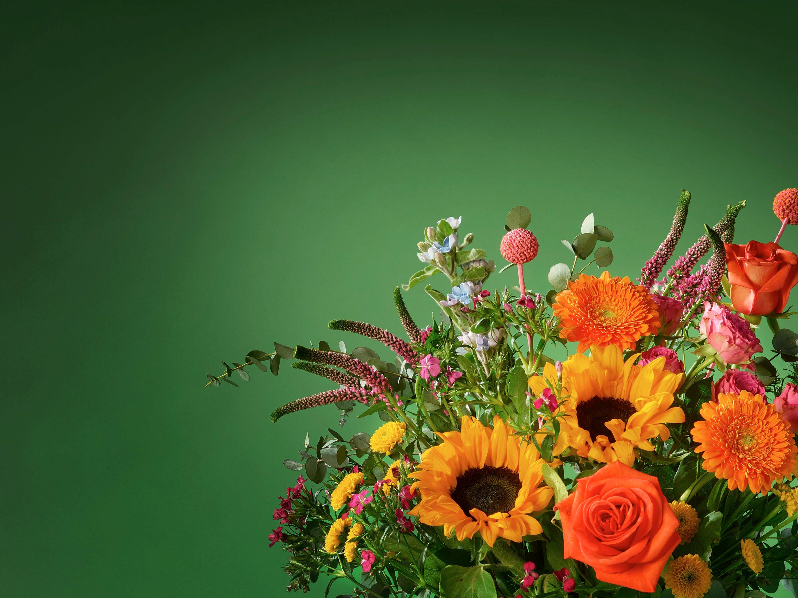 Interflora090425-HTHT0300(BRAND1)