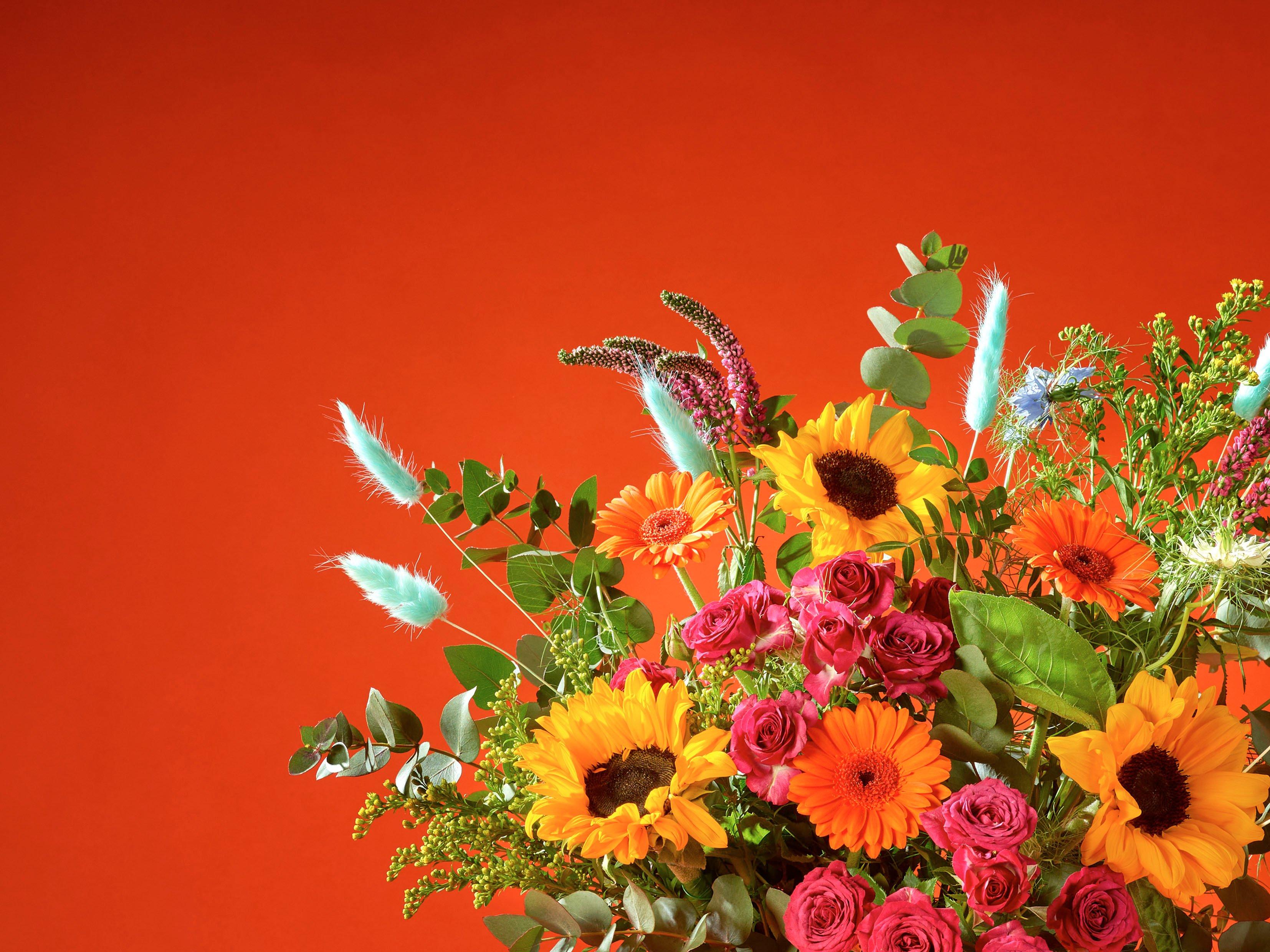 Interflora090425-HTSHT0100(BRAND2)