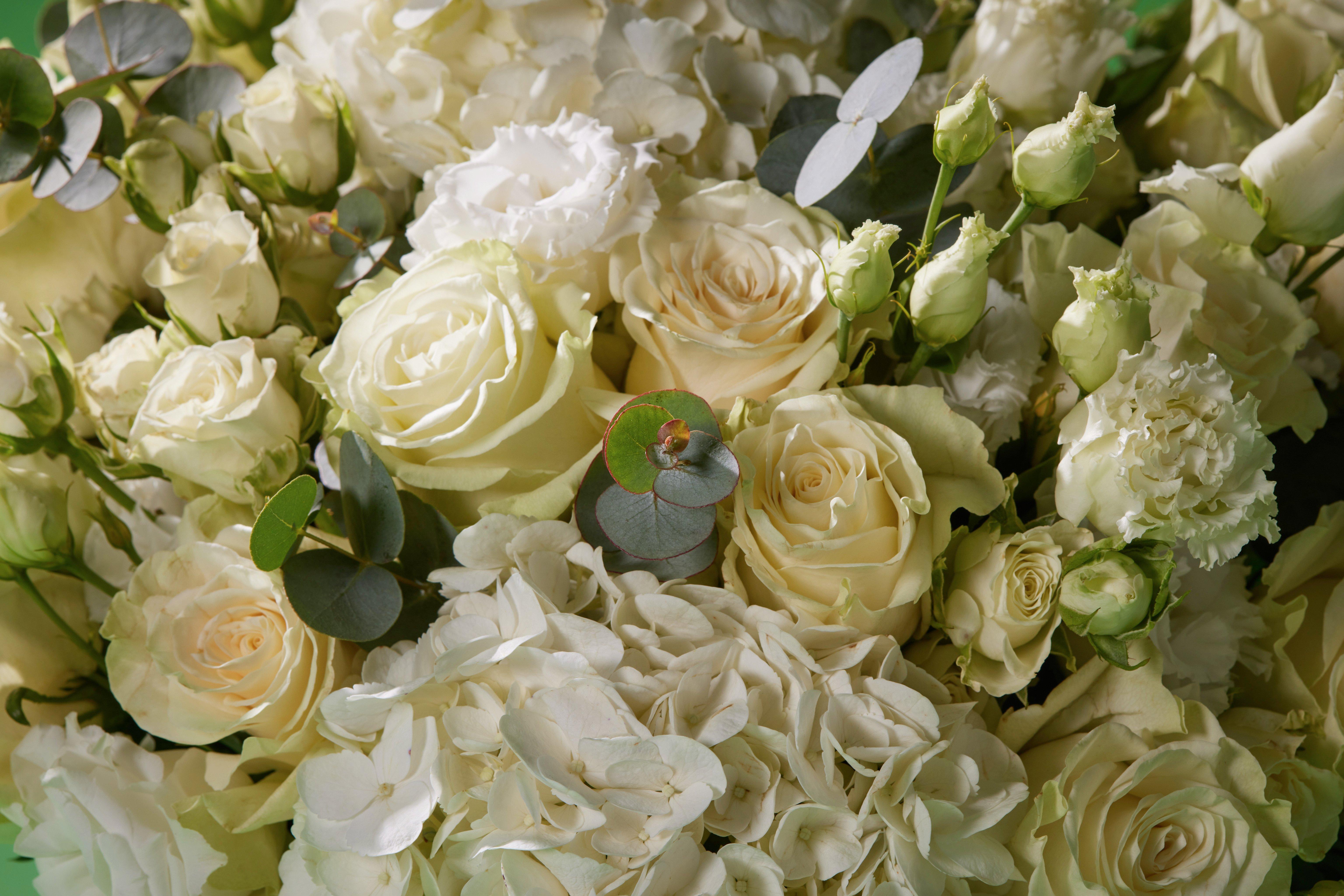 Interflora13122321410