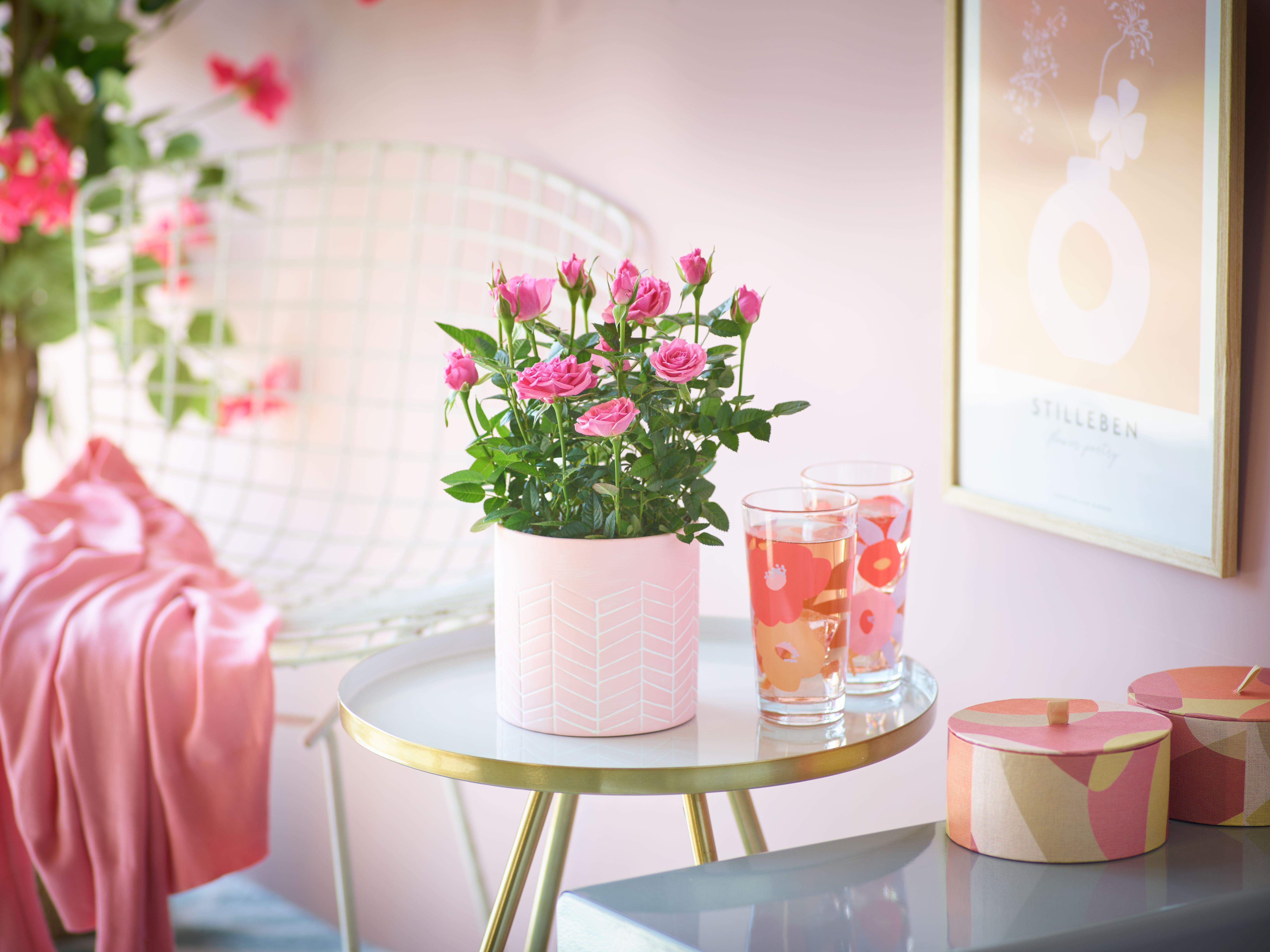 Interflora190423-M53881PS_1