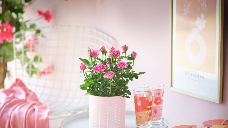 Interflora190423-M53881PS_1