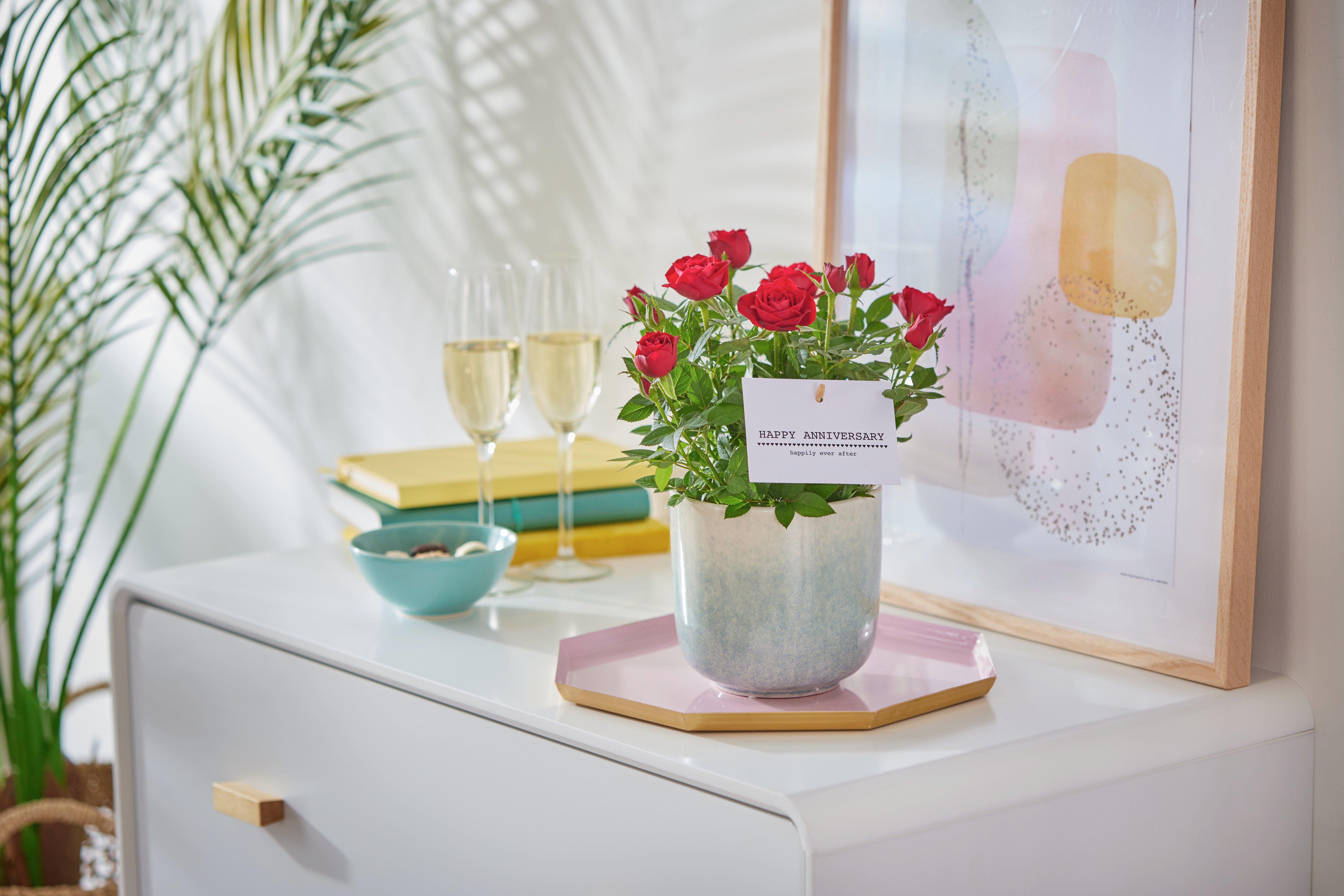 Interflora290922-C15351RS