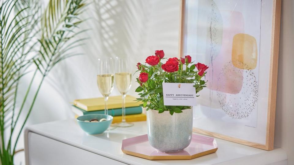 Interflora290922-C15351RS