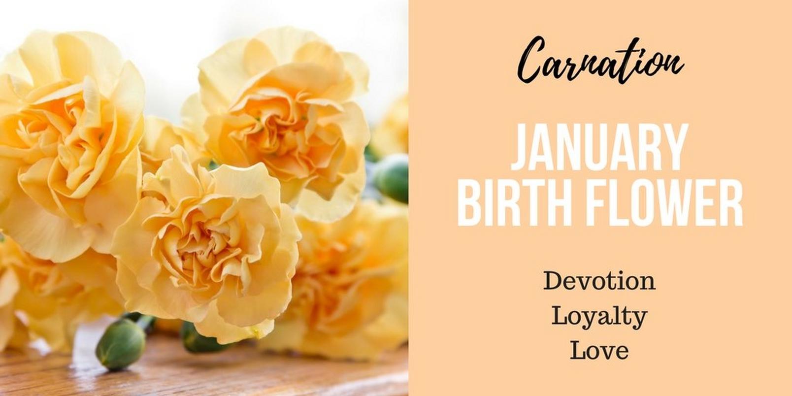January-birth-flower-2