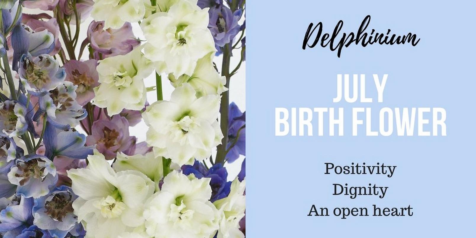 July-birth-flower