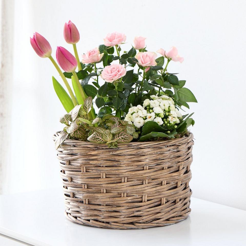 Lovely Mother's Day Indoor Planter
