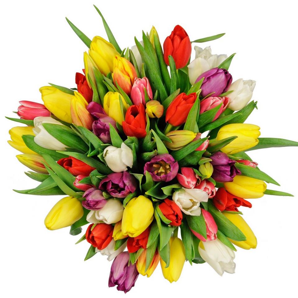 Image 1 of 1 of Seasonal Tulips Bouquet