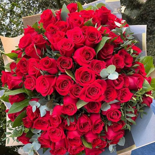 MUST CREDIT Red roses- flowers_by_suzanne