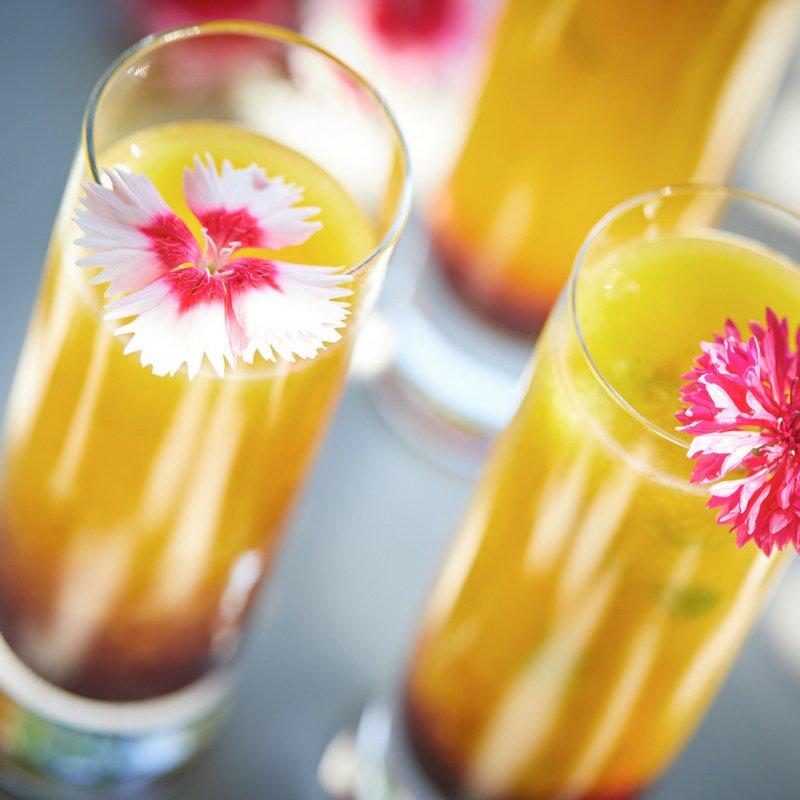 Mango-hibiscus-Rum-cooler-closeup