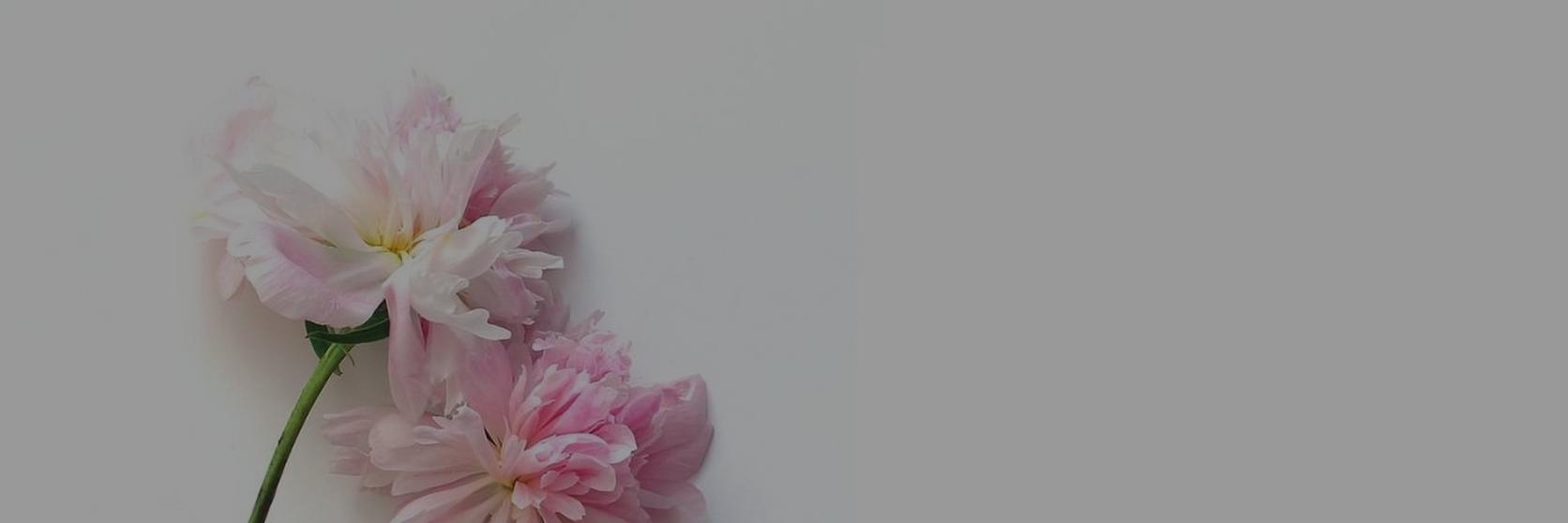 Peonies-facts-that-may-surprise-you-1