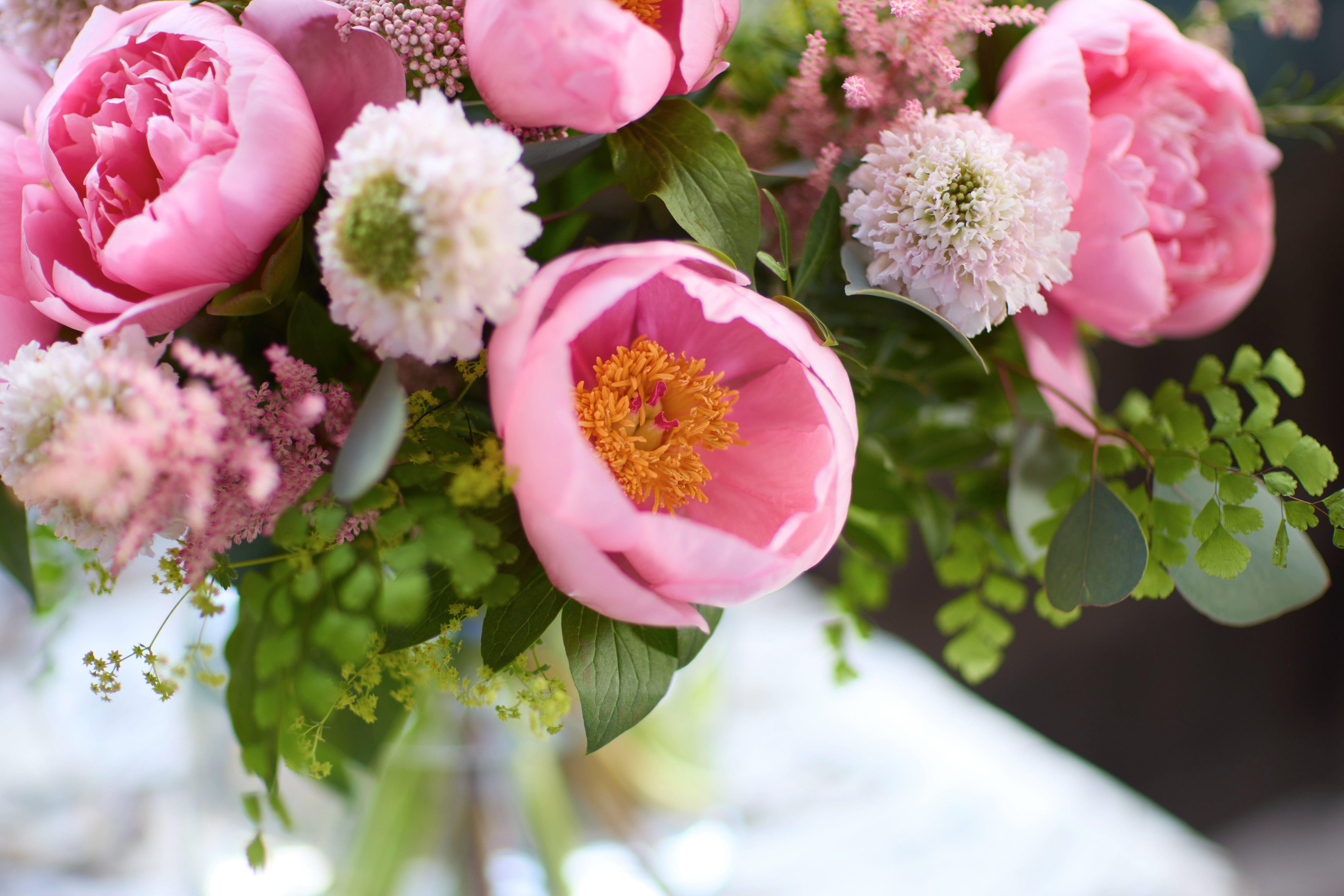 Peony Lifestyle Imagery 2025 - no expiry (4)