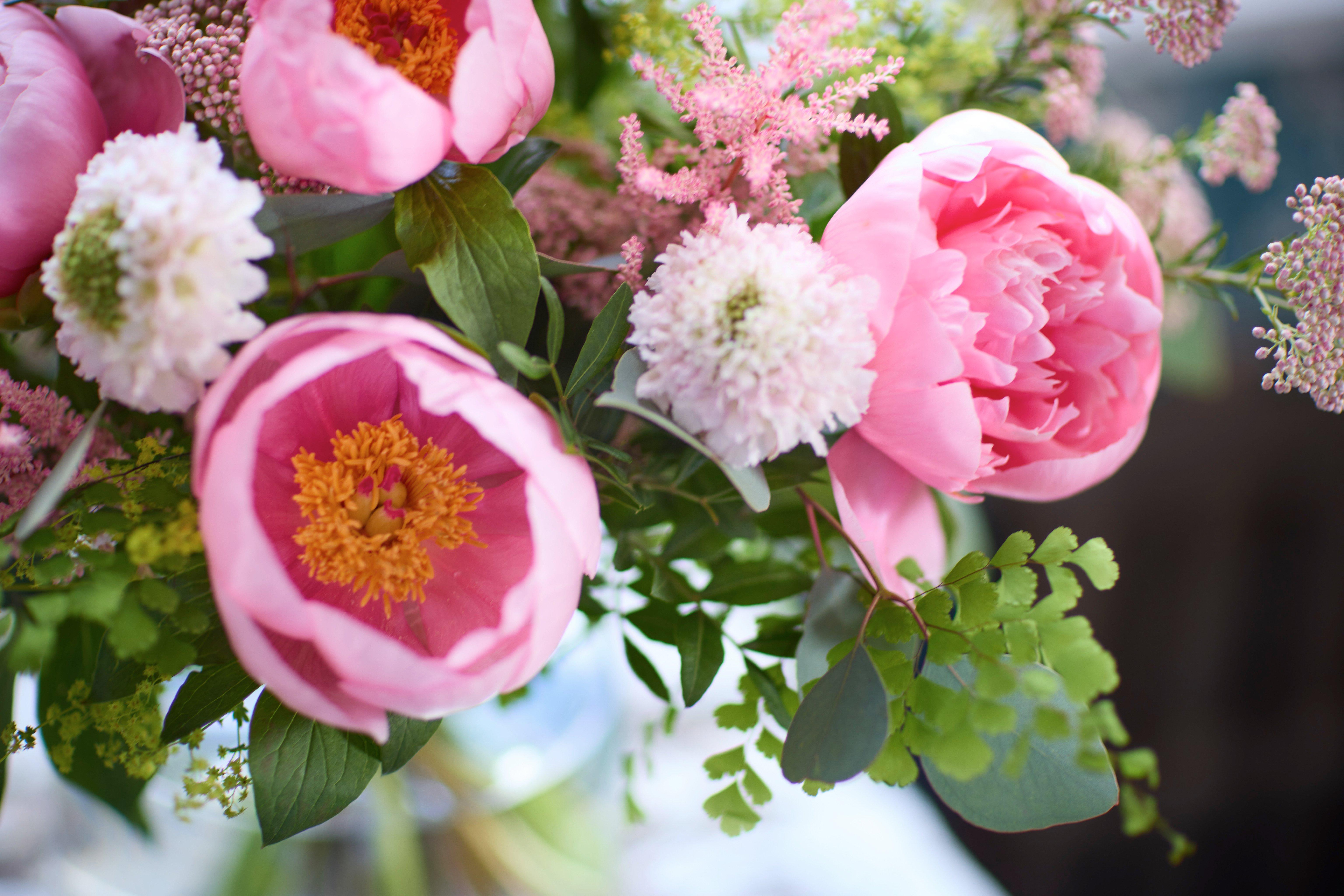 Peony Lifestyle Imagery 2025 - no expiry (8)