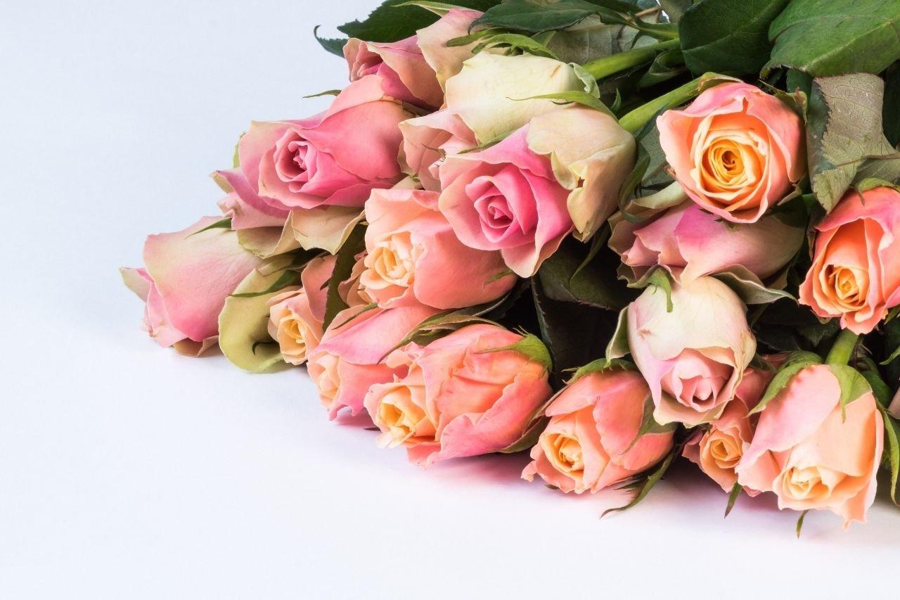 Pink-rose-bunch-1