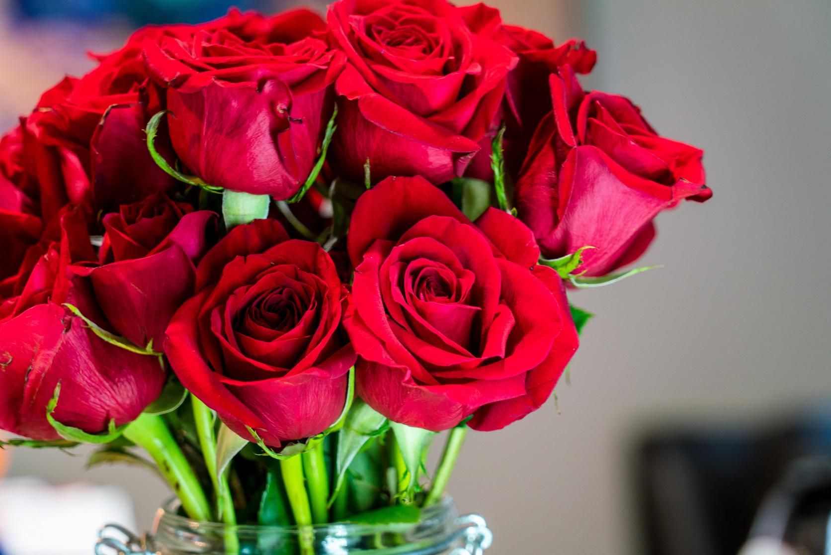 Red_roses_in_vase