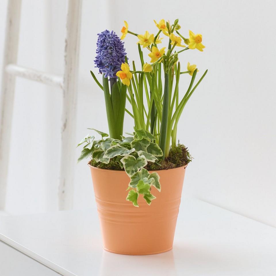 Joyful Spring Planter