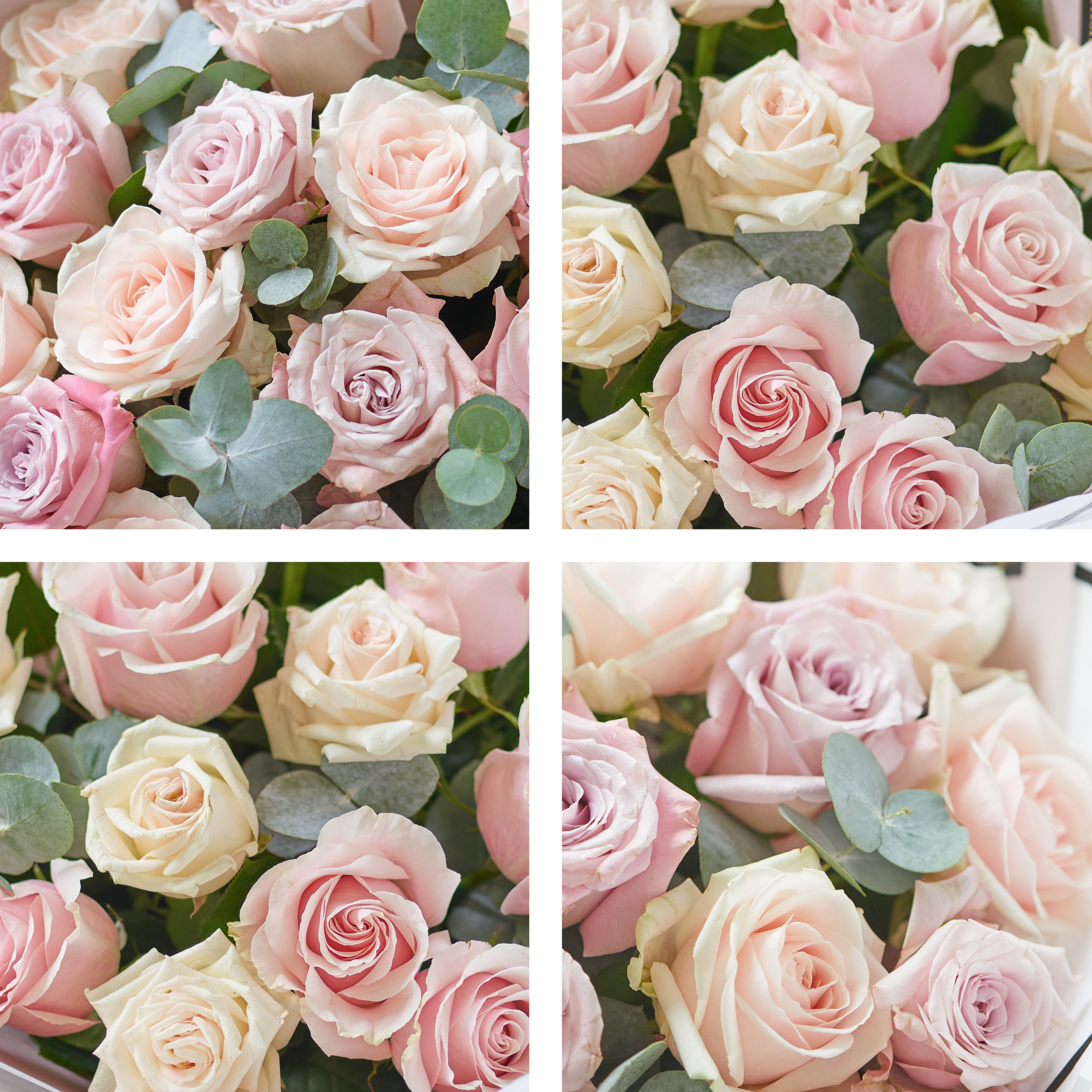 Image 2 of 6 of Luxury Pink Rose Bouquet