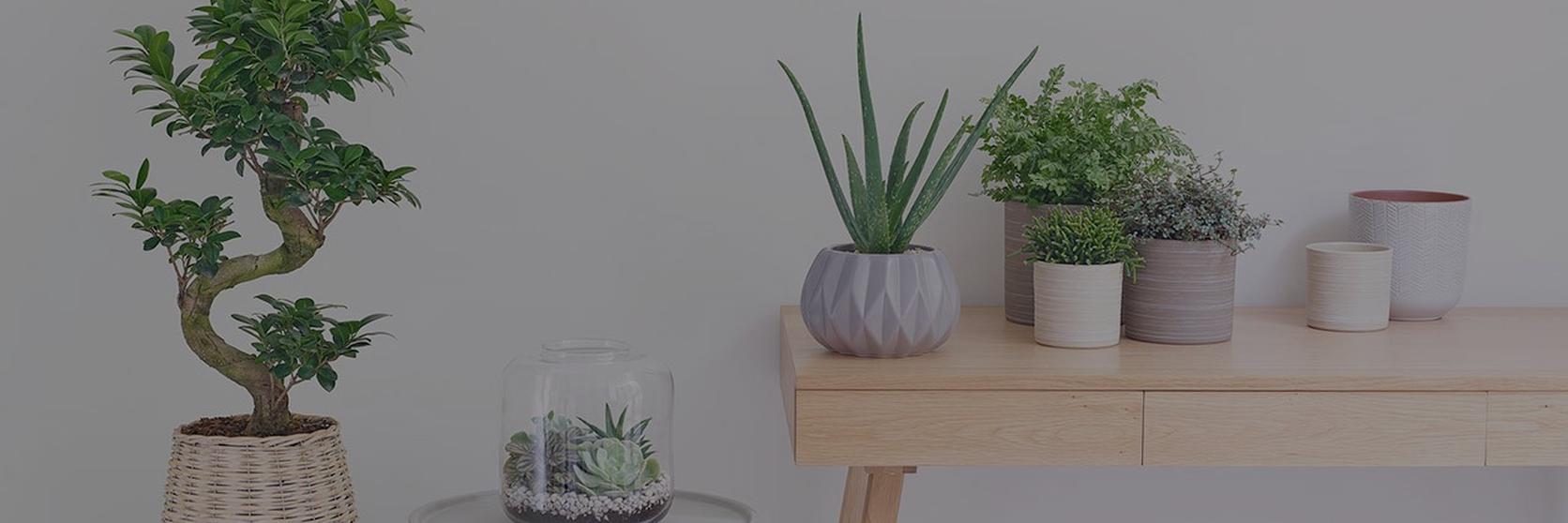 Scandi-Style-For-Laid-Back-Living-1